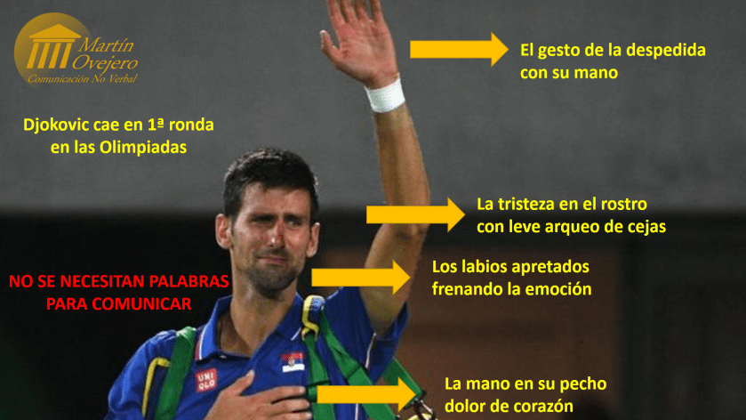 Djokovic cae